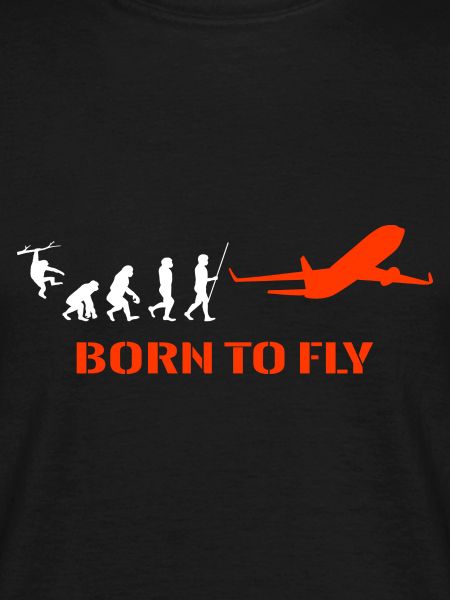 Flugzeug Pilot Evolution