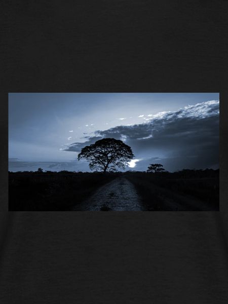 blue sunset