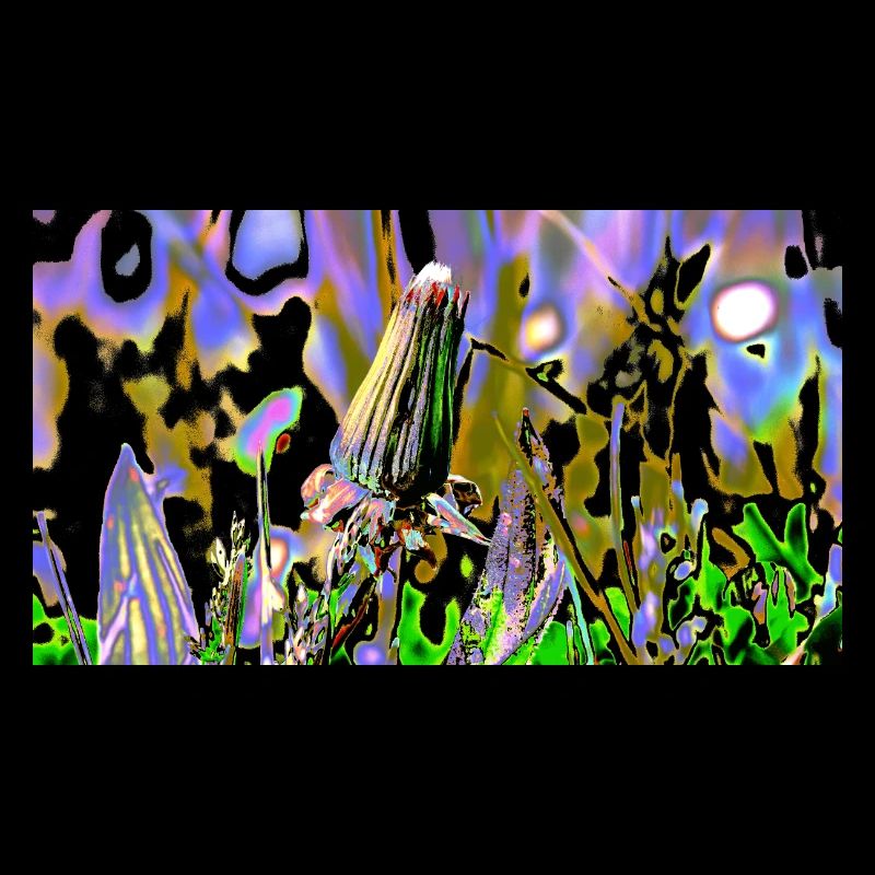 Wiese 731225