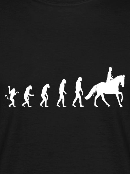 Cheval d’évolution équestre