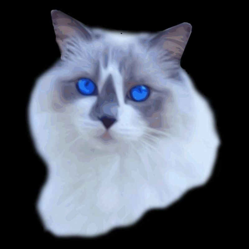 Ragdoll Blue Mitted