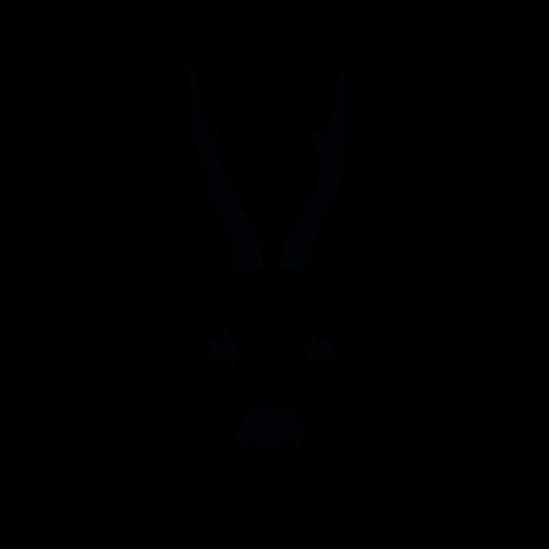 Roebuck Roe antlers
