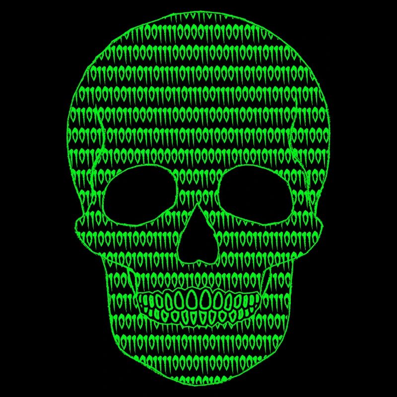Cyber Skull