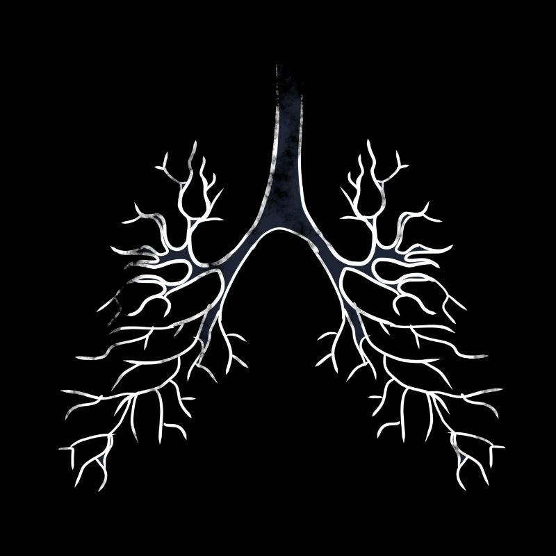 Bronchi lungs
