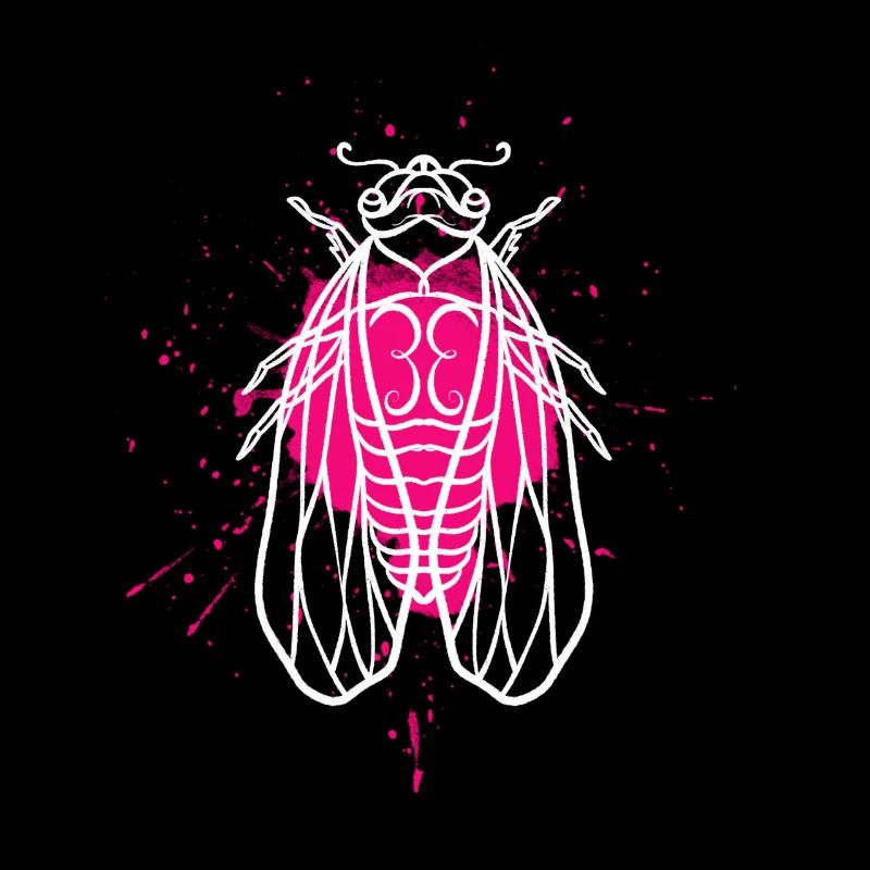 Cicada Colourful