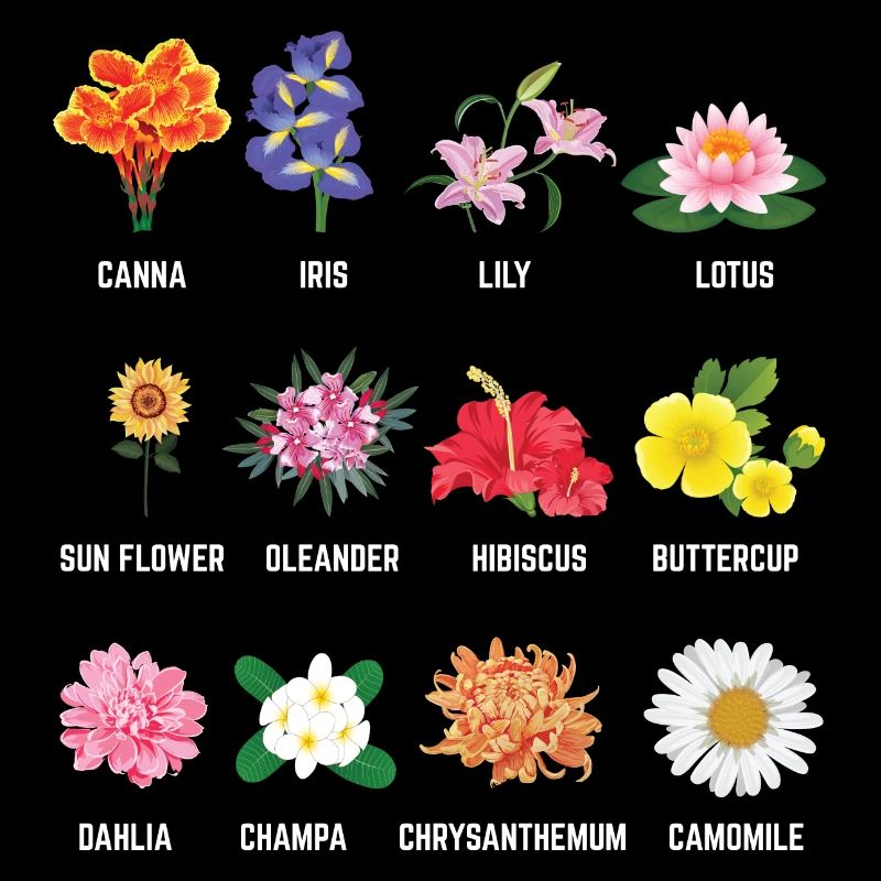 Cadeau de fleuriste graphique de belles fleurs botaniques