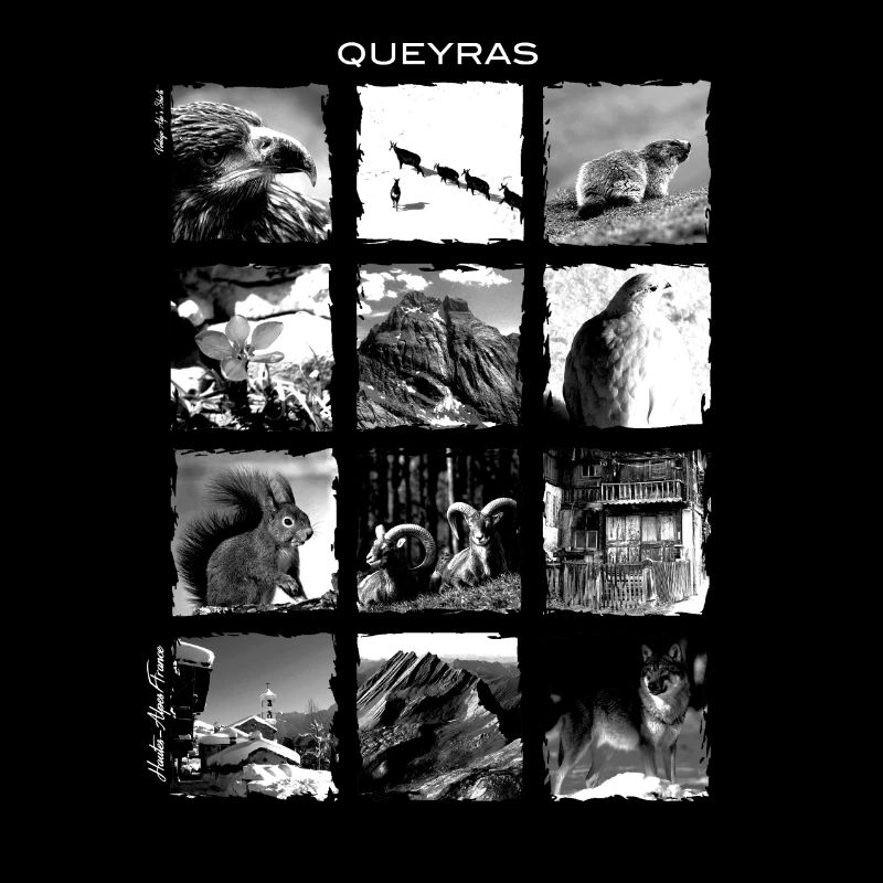 Queyras