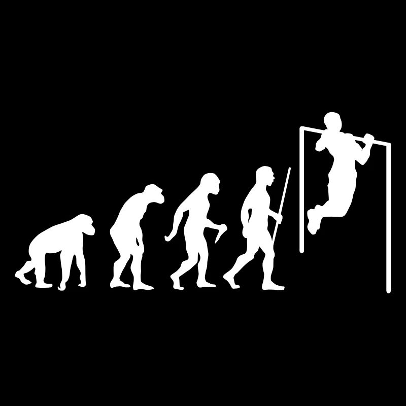 Evolution Pull Up
