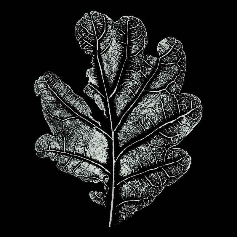 Leaf Oak / Oak Leaf - Imprint: