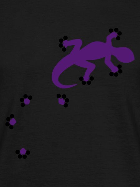 Gecko - 2c