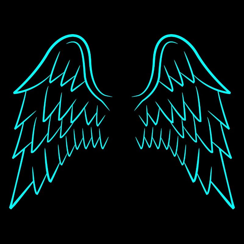 Ailes d'ange ailes