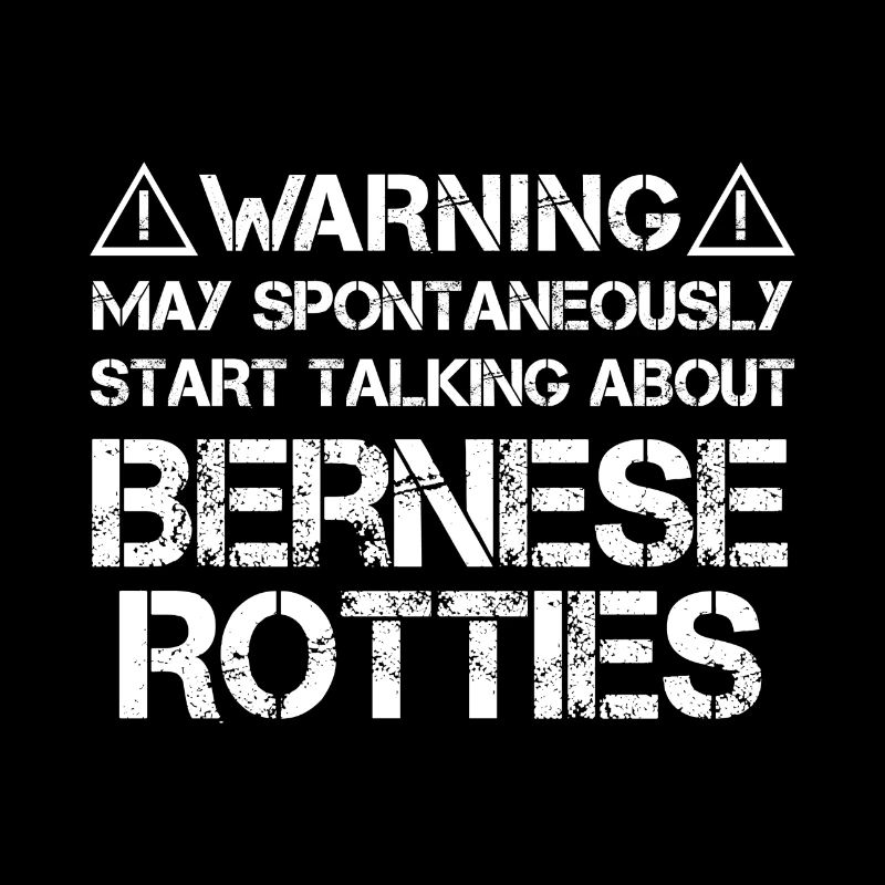 Rottie bernoise
