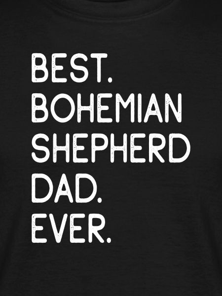 Bohemian Shepherd Dad
