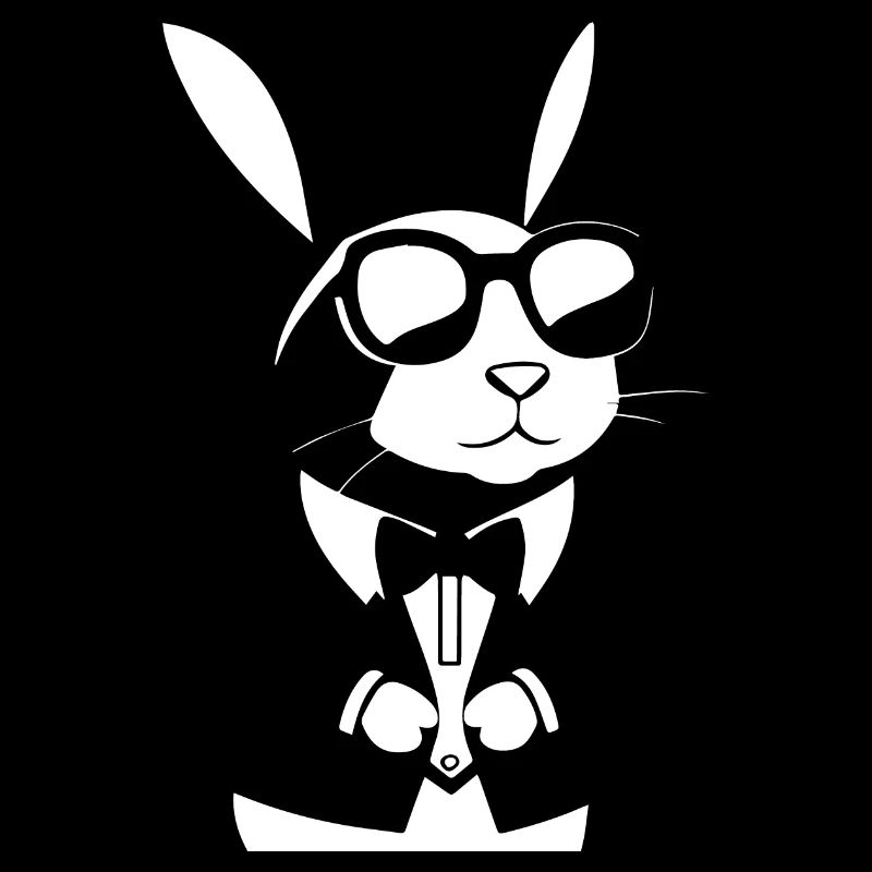 Lunettes de soleil Funny Rabbit Cool Sunglas Rabbit