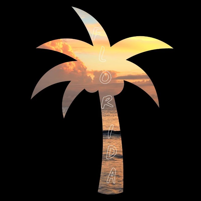 Palm tree - Florida