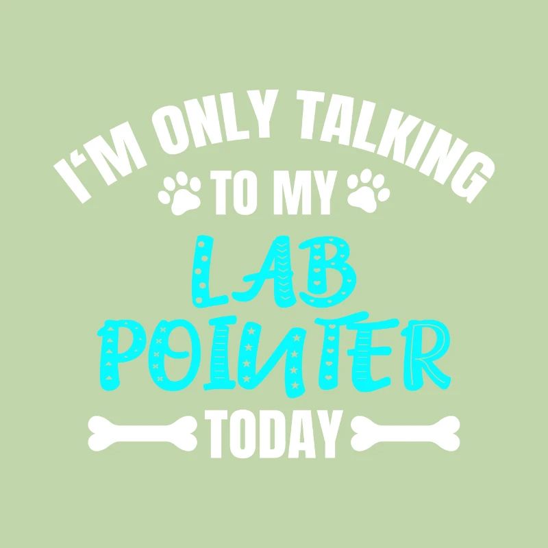 Lab Pointer
