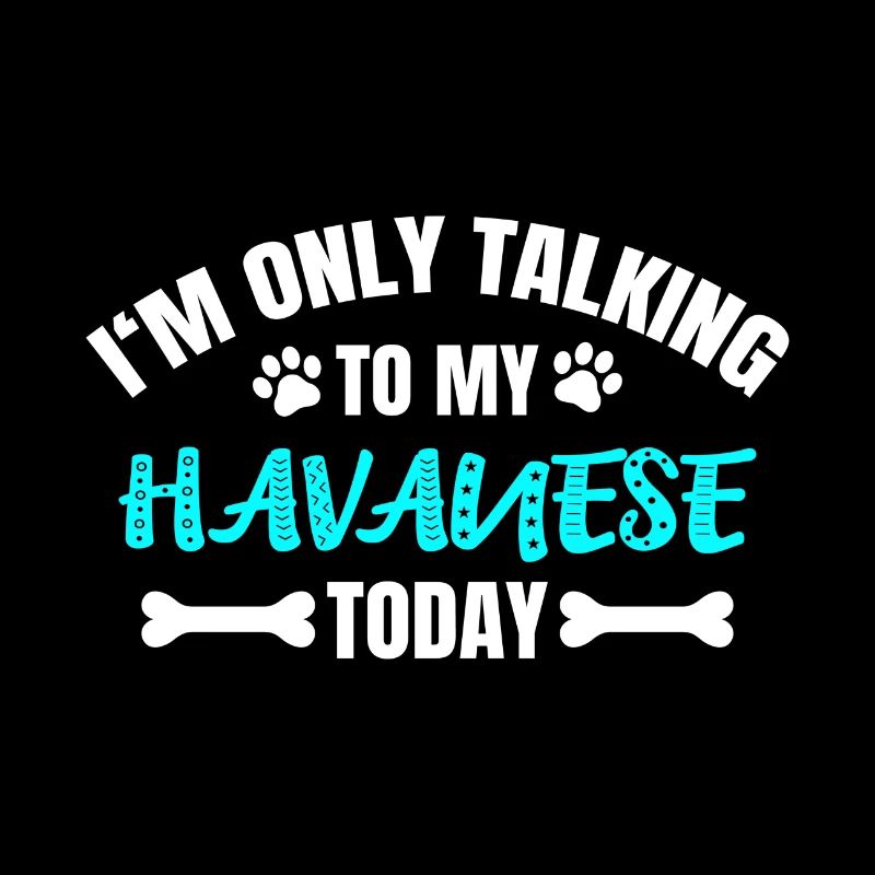 Bichon havanais