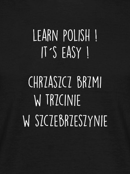 Learn Polish! It's easy! - Design