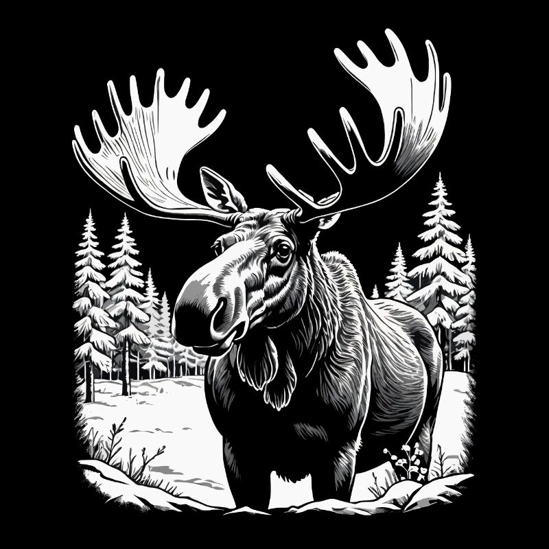 Orignal dans la forêt bois de Scandinavie noir blanc Älg