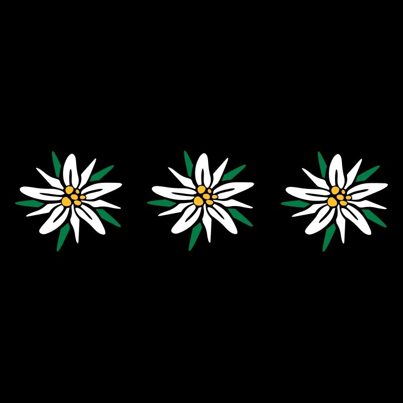 Edelweiss