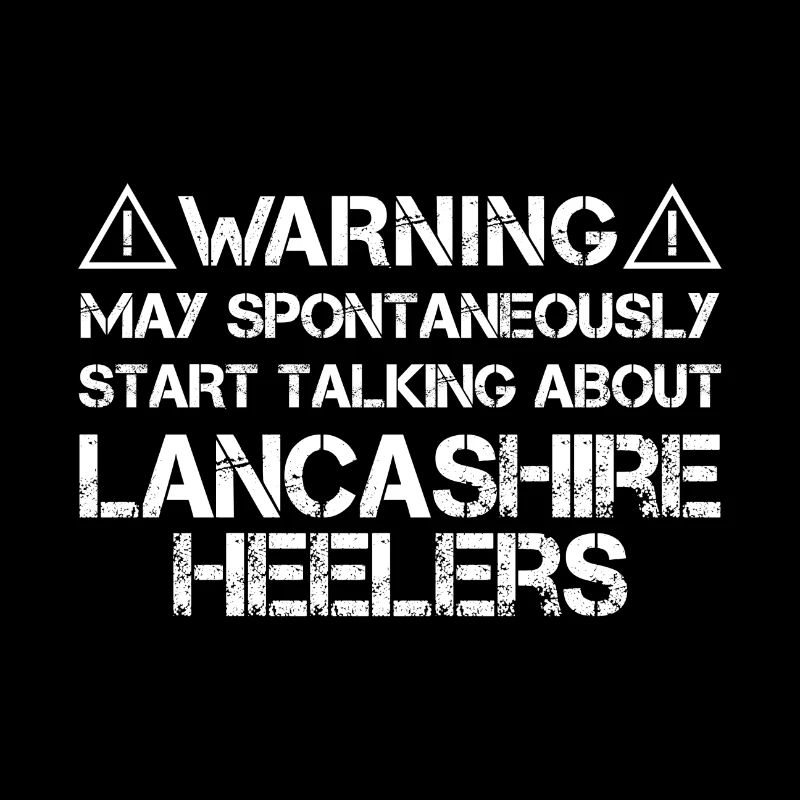 Lancashire Heeler