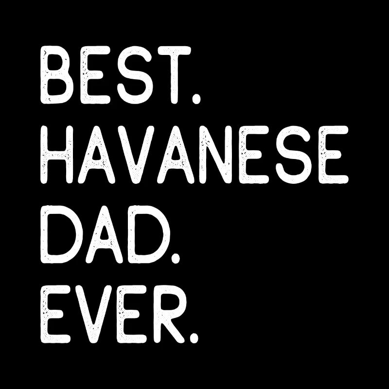 Havaneser Havanese