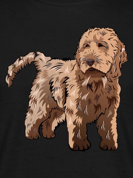 Cadeau de chien Cockapoo