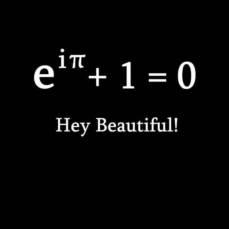 Euler identity math mathematician nerd science pi