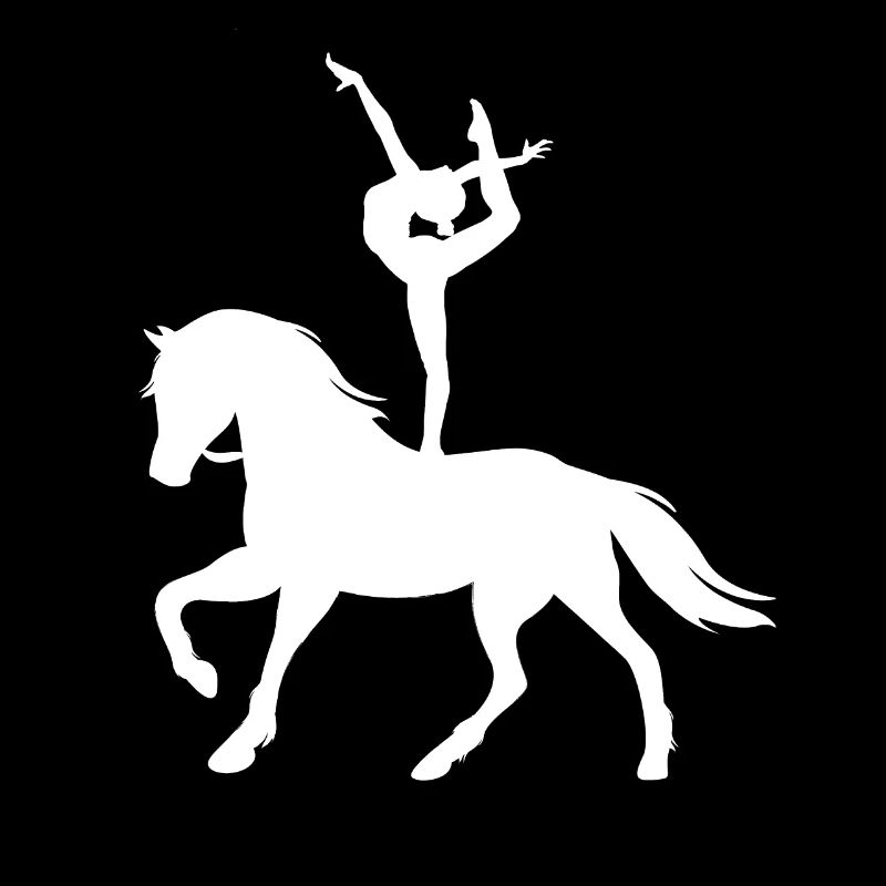 Voltige