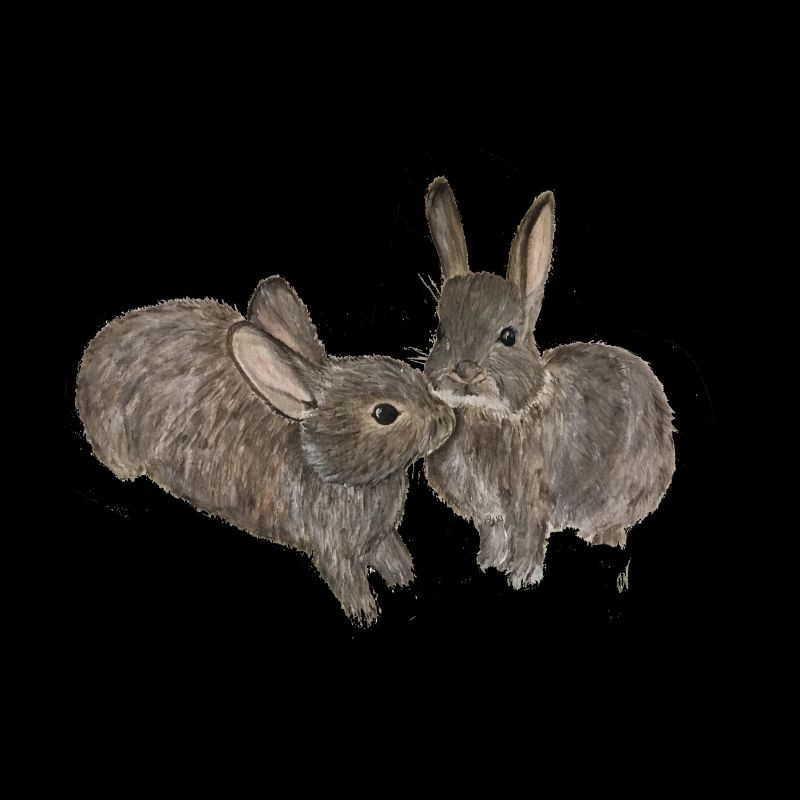 lapin