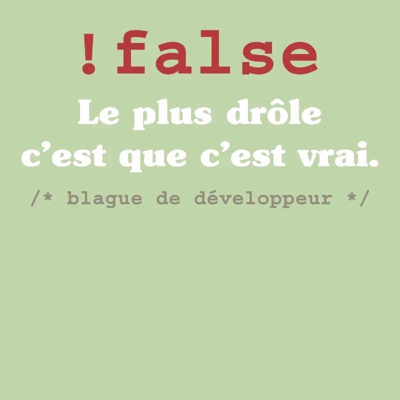 Blague programmeur développeur codeur informatique