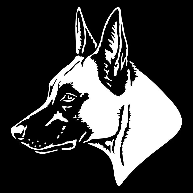 535 Malinois