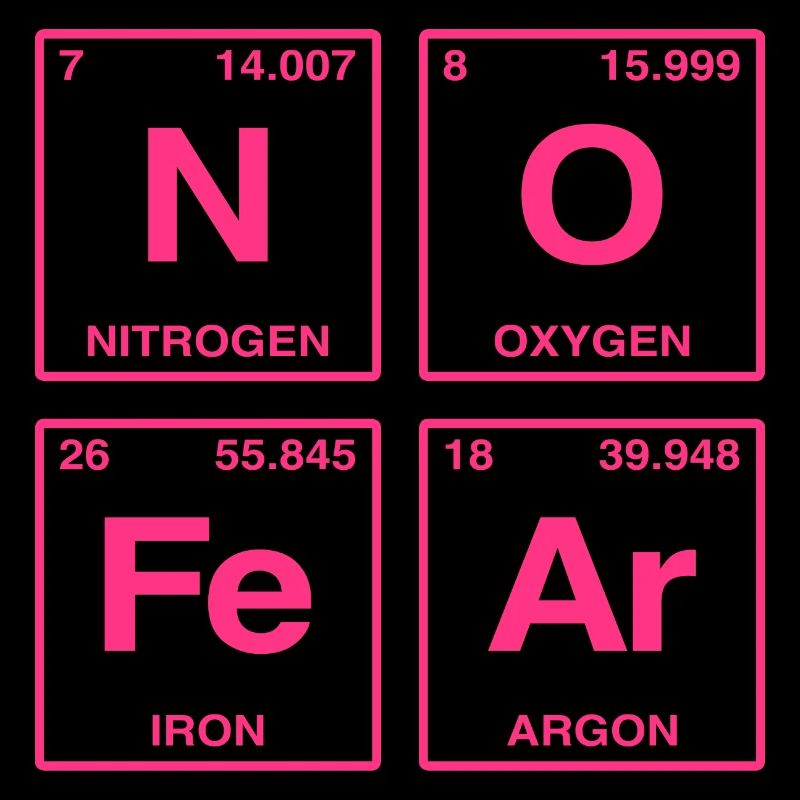 NO FEAR - with elements of the perdiode system