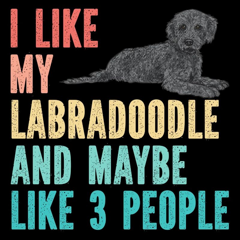 Labradoodle Hund