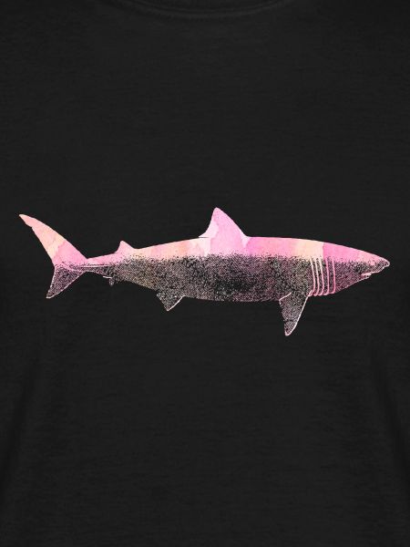 Shark Attack