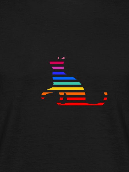 Rainbow Cat