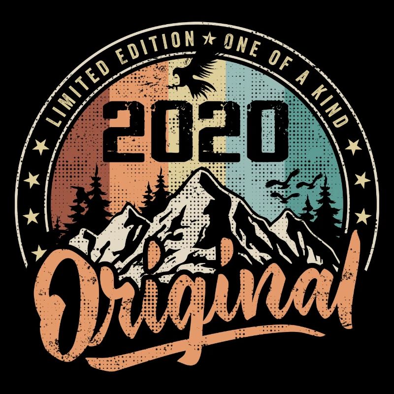 Original 2020 Retro Birthday Gift Born In 2020