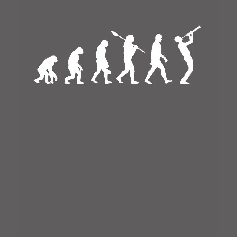Evolution de la clarinette