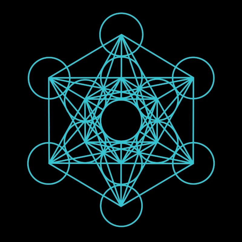 Metatrons Cube 18