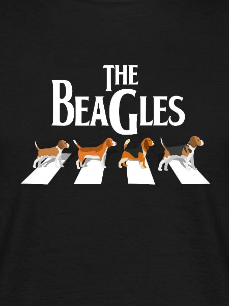 Beagle