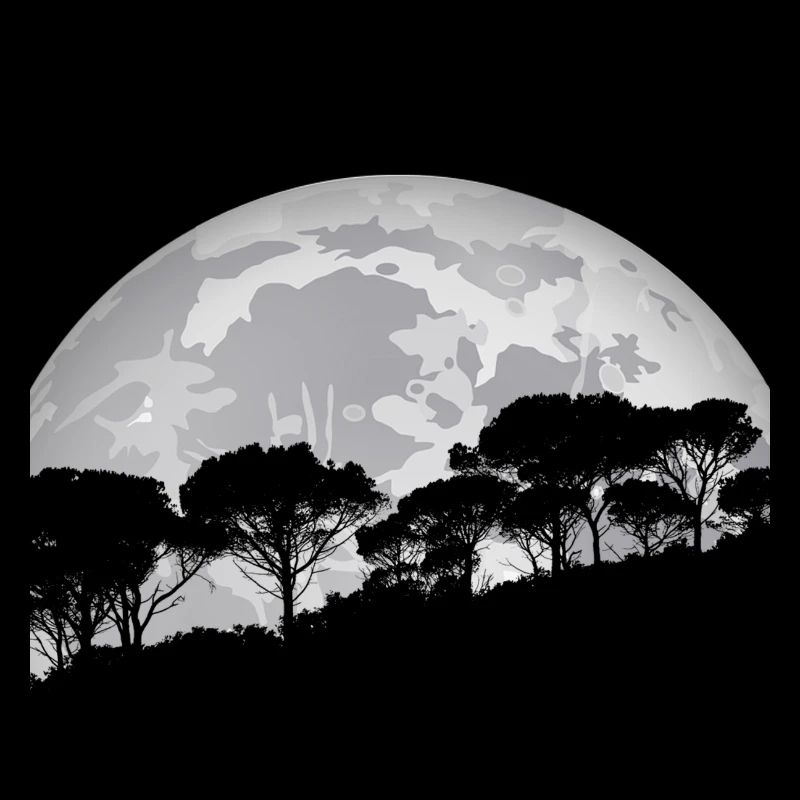 La forêt au clair de lune