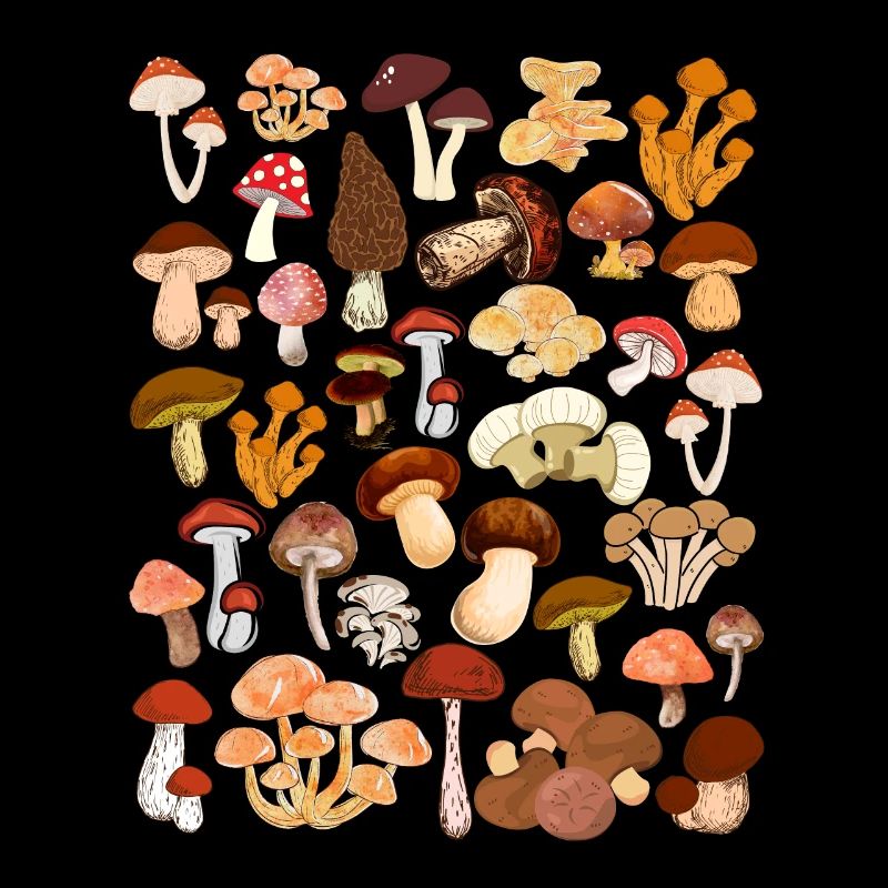 Chasse aux champignons