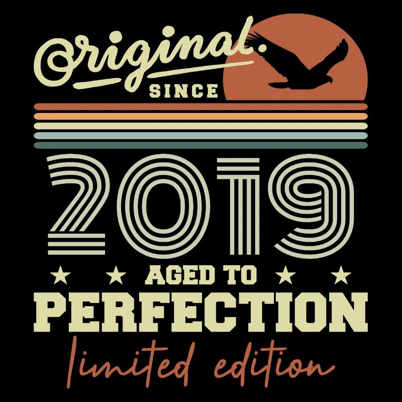 Original 2019 Geburtstagsgeschenk 2019 Retro 2019