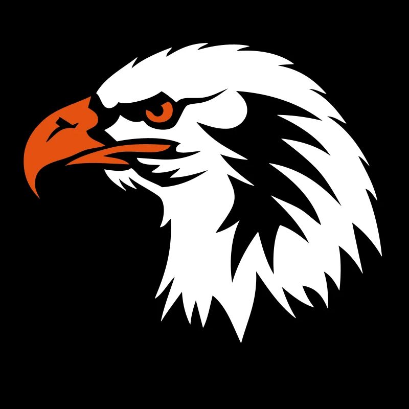 eagle head drawing face cartoon 702