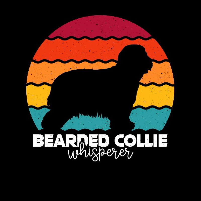 Collie barbu