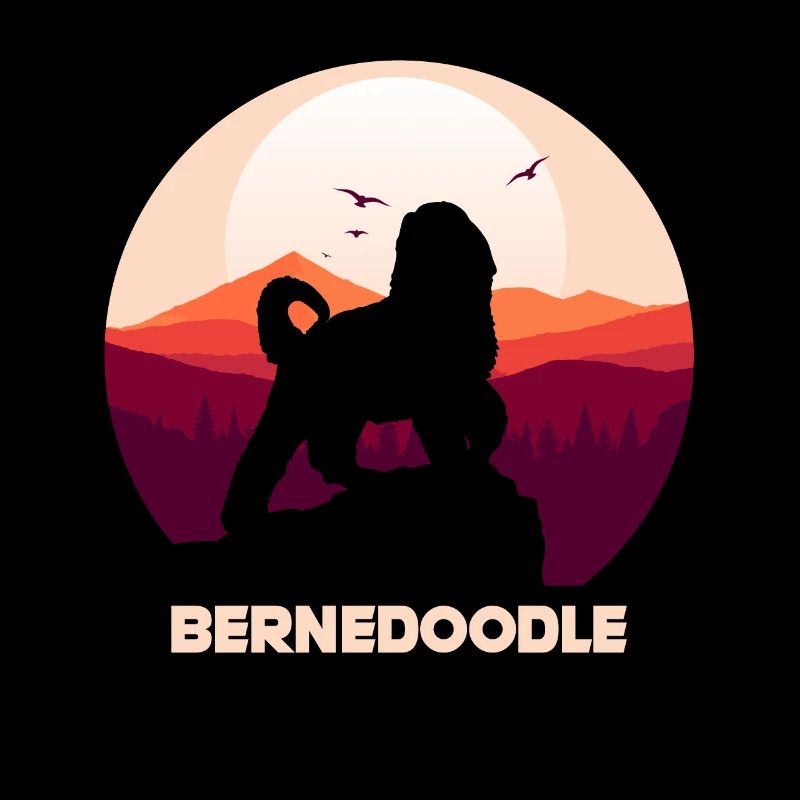 Bernedoodle Hund