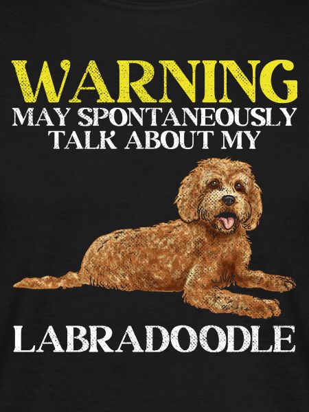 Labradoodle Dog