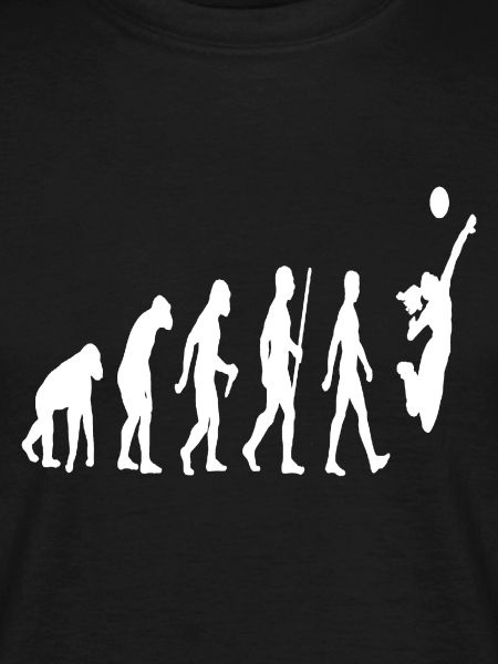 Evolution Volleyball