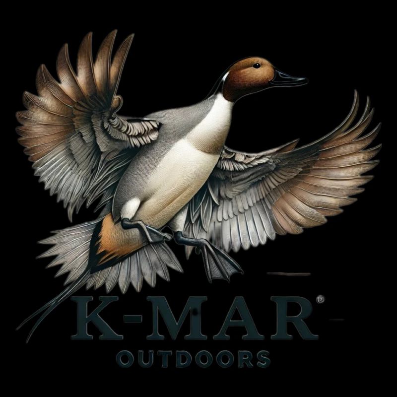 KMAR Pintail