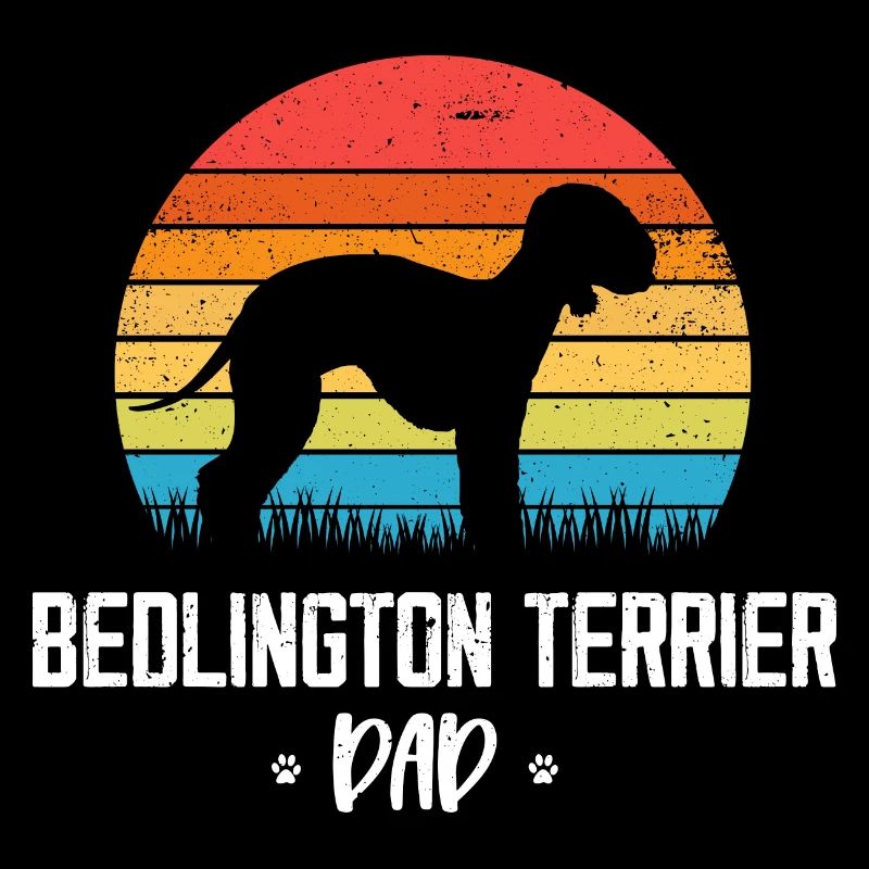 Bedlington Terrier